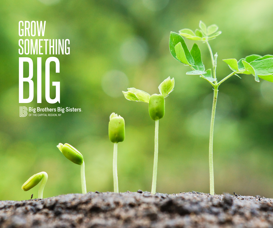 Grow Something Big